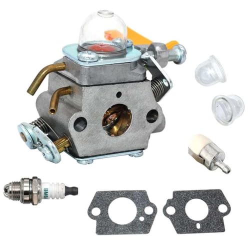 Carburetor -kompatibel mit RY30000B RY30002 RY30002A RY30002B RY30021A RY30041A RY30963 RY30542 RY30943 RY30522 RY30923 RY30562 BC30 Motormodell von QBVHAEPY