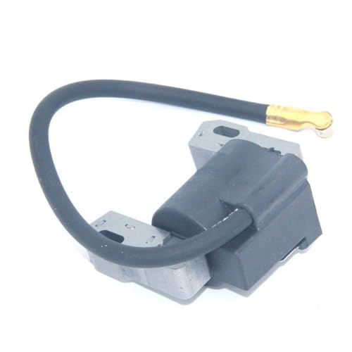 Festkörpermodul kompatibel mit den Modellen 74590 74591 74592 74704 74812 74814 13AT61RH048 FITS -TEIL -Nummer 1L137H10100 LX466 von QBVHAEPY