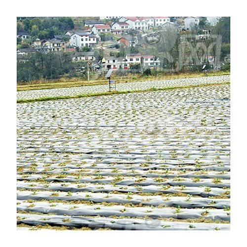 Gemüse im Boden, 10 m 0,008 mm Mulchfolie PE Schwarz Pflanzenpflegeabdeckung, for Gartenbodenabdeckung Folie Frostschutz Warmhalten Unkrautbekämpfung Gartenbedarf(10 Meters 2.0m Width) von QCKNKMGG