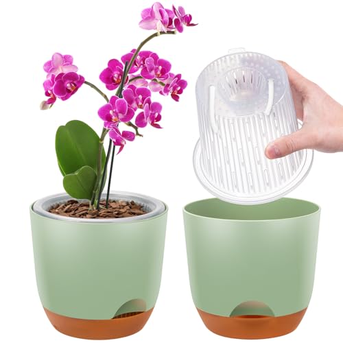 2er-Set Orchideentopf, 14,7 cm Doppelschicht-Design – Transparenter Selbstbewässerungstopf mit Übertopf, Orchideen-Bewässerungssystem, Blumentopf für Orchideen(Grün) von QCQHDU