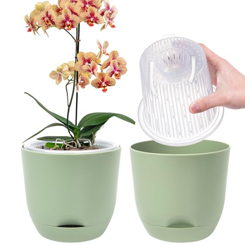 2er-Set Orchideentopf, 14,7 cm Doppelschicht-Design – Transparenter Selbstbewässerungstopf mit Übertopf, Orchideen-Bewässerungssystem, Blumentopf für Orchideen(Purgrün) von QCQHDU