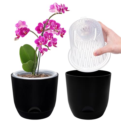 2er-Set Orchideentopf, 14,7 cm Doppelschicht-Design – Transparenter Selbstbewässerungstopf mit Übertopf, Orchideen-Bewässerungssystem, Blumentopf für Orchideen(Rein Schwarz) von QCQHDU