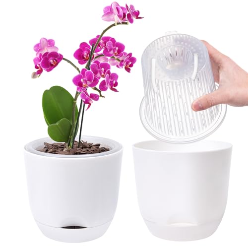 2er-Set Orchideentopf, 14,7 cm Doppelschicht-Design – Transparenter Selbstbewässerungstopf mit Übertopf, Orchideen-Bewässerungssystem, Blumentopf für Orchideen(Reinweiß) von QCQHDU