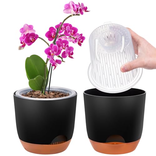 2er-Set Orchideentopf, 14,7 cm Doppelschicht-Design – Transparenter Selbstbewässerungstopf mit Übertopf, Orchideen-Bewässerungssystem, Blumentopf für Orchideen(Schwarz) von QCQHDU