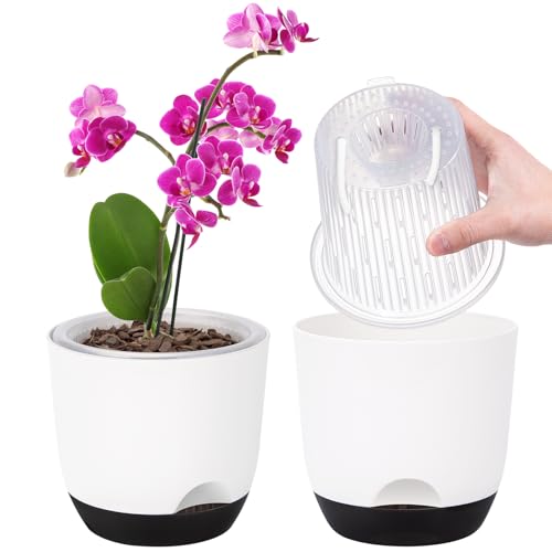 2er-Set Orchideentopf, 14,7 cm Doppelschicht-Design – Transparenter Selbstbewässerungstopf mit Übertopf, Orchideen-Bewässerungssystem, Blumentopf für Orchideen(Weiß) von QCQHDU