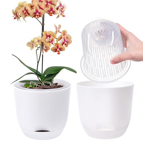 2er-Set Orchideentopf Groß, 18,2 cm Doppelschicht-Design – Transparenter Selbstbewässerungstopf mit Übertopf, Orchideen-Bewässerungssystem, Blumentopf für Orchideen( 2er-Set Orchideentopf Groß, 18,2 cm Doppelschicht-Design – Transparenter Selbstbewässerungstopf mit Übertopf, Orchideen-Bewässerungssystem, Blumentopf für Orchideen( von QCQHDU
