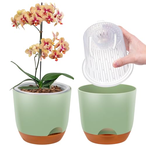 2er-Set Orchideentopf Groß, 18,2 cm Doppelschicht-Design – Transparenter Selbstbewässerungstopf mit Übertopf, Orchideen-Bewässerungssystem, Blumentopf für Orchideen(Grün) von QCQHDU