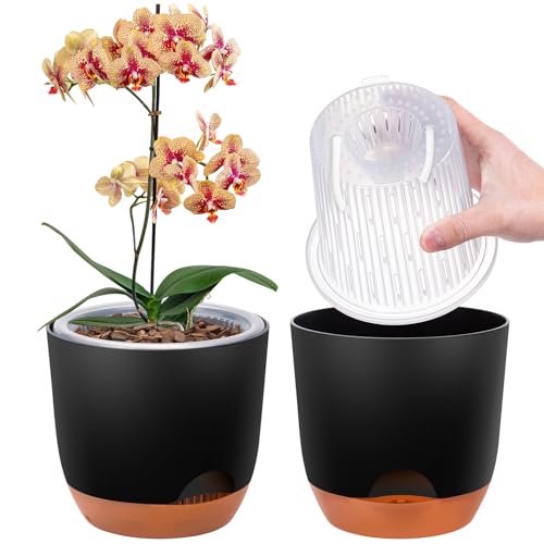 2er-Set Orchideentopf Groß, 18,2 cm Doppelschicht-Design – Transparenter Selbstbewässerungstopf mit Übertopf, Orchideen-Bewässerungssystem, Blumentopf für Orchideen(Schwarz) von QCQHDU