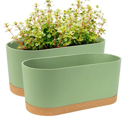QCQHDU 2 Stück Fensterboxen, Pflanzgefäße, 40 x 17,8 cm, selbstbewässernde Töpfe mit Ablauflöchern und Tabletts moderner dekorativer Blumentopf für alle Zimmerpflanzen, Blumen, Kräuter (Grün)… von QCQHDU