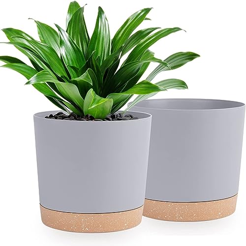 QCQHDU Bumentöpfe 2er Pack 25.4cm,Bumentöpfe für Zimmerpflanzen mit Entwässerungslöchern und abnehmbarem Boden,Untersetzer Modern Dekorativ für Garten Pflanzgefäße im Freien(Hellgrau 25.4cm von QCQHDU
