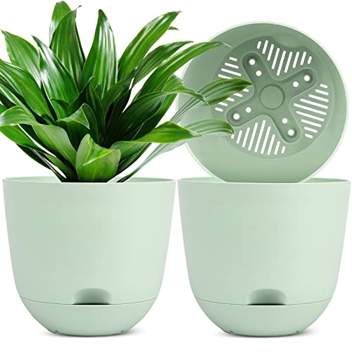 QCQHDU Pflanzentöpfe, 3-Pack 25.4cm Selbst Bewässerung Pflanzgefäße Hohe Drainage mit Tiefe Untertasse Reservoir für Innen- und Außengarten Blumen Pflanze Topf-Grün von QCQHDU