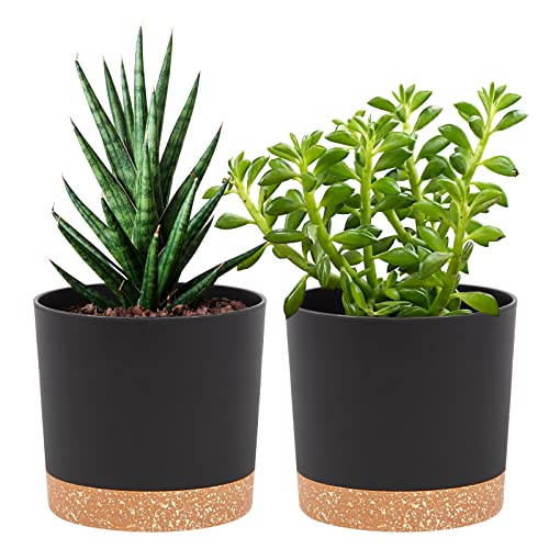 QCQHDU Bumentöpfe 2er Pack 12,7 cm,Bumentöpfe für Zimmerpflanzen mit Entwässerungslöchern und abnehmbarem Boden,Untersetzer Modern Dekorativ für Garten Pflanzgefäße im Freien(Dunkelgrau 12,7 cm) von QCQHDU