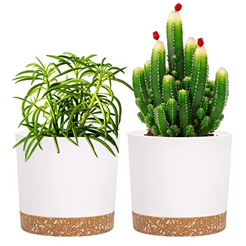 QCQHDU blumentopf 2er Pack 12,7 cm,Bumentöpfe für Zimmerpflanzen mit Entwässerungslöchern und abnehmbarem Boden,Untersetzer Modern Dekorativ für Outdoor Garten Pflanzgefäße(Weiß 12,7 cm) von QCQHDU