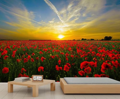 Wandtapete mit Sonnenuntergangslandschaft Mohnfeld lebendiger Sonnenuntergang florale ländliche Landschaft rote Blumen Wandbilder für Schlafzimmer Küche Esszimmer keine Schaumbildung 450 x 305 cm Wandtapete mit Sonnenuntergangslandschaft Mohnfeld lebendiger Sonnenuntergang florale ländliche Landschaft rote Blumen Wandbilder für Schlafzimmer Küche Esszimmer keine Schaumbildung 450 x 305 cm von QDJKBL