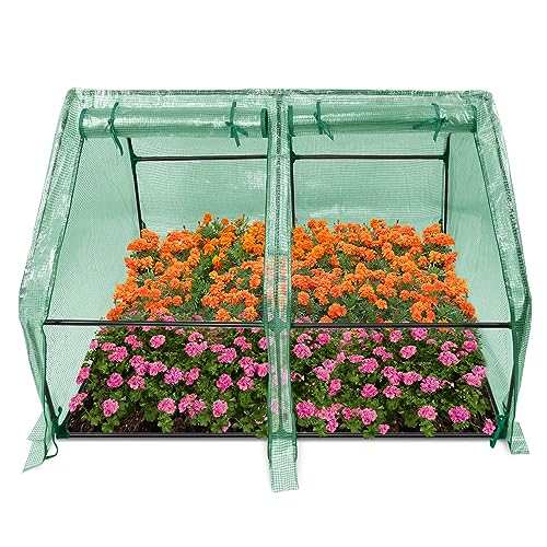 QEENTOE Kleines Gewächshaus 140g/m² HDPE 180x90x90cm Mini Gewächshaus Mit 2 Rollladen Regenschutz UV-beständig Frostbeständig für Garten Balkon (Grün) von QEENTOE