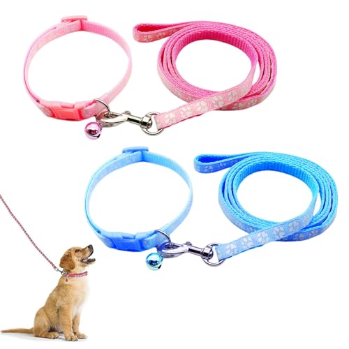 2 Stück Welpenhalsbänder, Nylon Haustier Halsband, Hundehalsband und Leine Verstellbares, Hundehalsband Kleine Hunde, Hundehalsband Weich, Welpenhalsband, Welpenhalsbänder mit Leine Set von QEEROYO