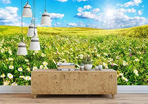 Tapeten Fototapete 3d Effekt Wandverkleidung Blauer Himmel Und Weiße Wolken Wiesenblumen Wandbilder Fototapete Wandtapete für Schlafzimmer Wohnzimmer Sofa Tv Hintergrund Wanddekoration,150x105cm von QEETapete