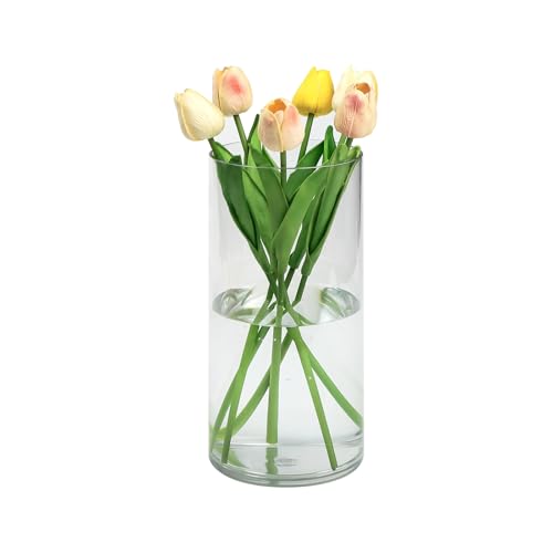 QEEYON Acryl Zylindervase 25cm, Ø12cm – Klare Acryl Kleine Vase Bruchsichere Zylindrische Blumenvase aus Kunststoff für Tischdeko bei Heimbüro & Hochzeiten von QEEYON