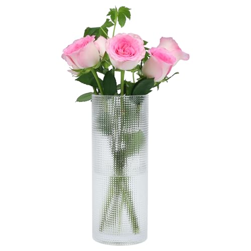 QEEYON Blumenvase Glas 30 cm, Ø12cm, Handgefertigte Gittervase Modern Zylinder Groß Glasvase Durchsichtig, Vase für Tulpen,Vase für Home Office Hochzeit Tischdeko Geschenk QEEYON Blumenvase Glas 30 cm, Ø12cm, Handgefertigte Gittervase Modern Zylinder Groß Glasvase Durchsichtig, Vase für Tulpen,Vase für Home Office Hochzeit Tischdeko Geschenk von QEEYON