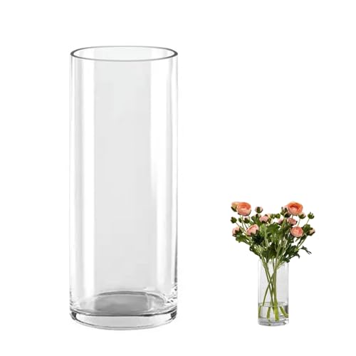 QEEYON Glas Blumenvase,Modern Zylinder Vase 25cm Hoch,Zylindrische Glasvase,Durchsichtige Glasvase, Kerzenhalter Glas Blumenblume Pflanzenbehälter für Home Office Dekor, Glas Tischdeko von QEEYON