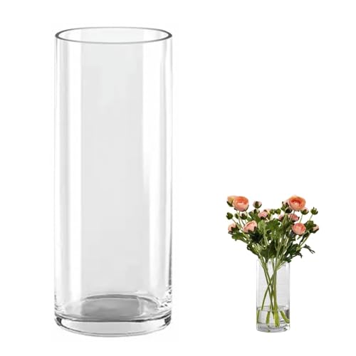 QEEYON Glas Blumenvase,Modern Zylinder Vase 30cm Hoch,Zylindrische Glasvase,Durchsichtige Glasvase, Kerzenhalter Glas Blumenblume Pflanzenbehälter für Home Office Dekor, Glas Tischdeko von QEEYON