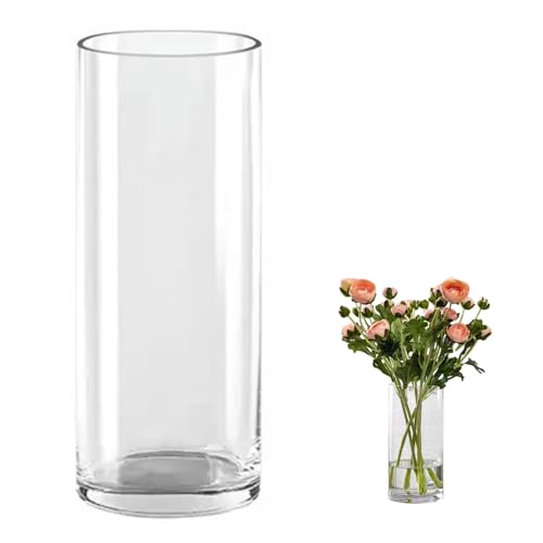 QEEYON Glas Blumenvase,Modern Zylinder Vase 40cm Hoch,Zylindrische Glasvase,Durchsichtige Glasvase, Kerzenhalter Glas Blumenblume Pflanzenbehälter für Home Office Dekor, Glas Tischdeko von QEEYON