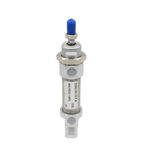 DSNU25 Runder Mini-Luftpneumatikzylinder aus Edelstahl DSNU25-30-PPV-A DSNU-25-60-PPV-A Hub 10-200 mm 1 Stück(DSNU-25-25) von QEJBQKWU