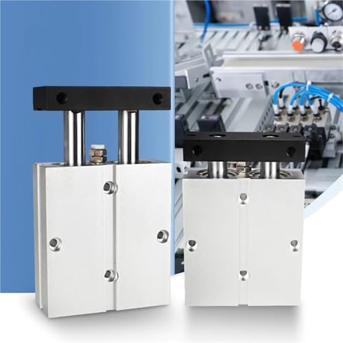 TN-Luftzylinder, 2-Stab, doppelachsiger Wirktyp, pneumatischer Luftzylinder, Magnet, Bohrung 10/16, 1 Stück(Stroke45,BORE 10) von QEJBQKWU