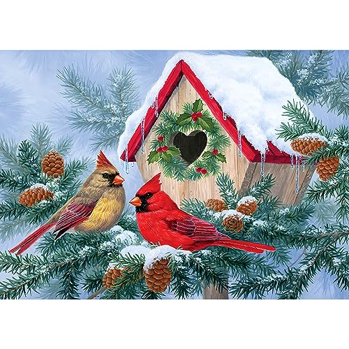 QENSPE 5D Diamond Painting Weihnachten Vogel Diamant Painting Bilder Winter Diamond Art Erwachsene Full DIY Diamant Kunst Malerei Stickerei Set Kreuzstich Bilder Home Wand Dekor 30x40cm von QENSPE