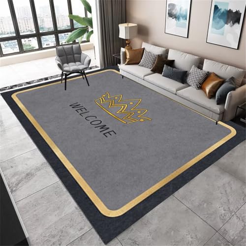 QGYFRE Teppich Nach Mass Outdoor 170x240CM küchenteppich waschbar Grau Tapis Moderne et minimaliste. schmutzfangmatte von QGYFRE