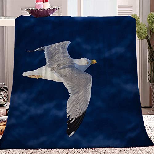 QHDHGR Kuscheldecke Weiße Möwe Decke als Sofadecke Weiche Warme Couch Decken Sofa Decken Flauschige Wohndecke Schlafdecke150 * 200cm / 59 Zoll * 78.7 Zoll von QHDHGR