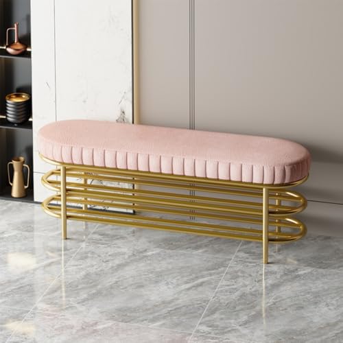 QHLMLL Gepolsterte Schuhbank für den Eingangsbereich, für Flur und Wohnzimmer, Aufbewahrung, Metallrahmen, Schuhbank mit gepolstertem Sitz, 100 x 42 x 35 cm, Rosa QHLMLL Gepolsterte Schuhbank für den Eingangsbereich, für Flur und Wohnzimmer, Aufbewahrung, Metallrahmen, Schuhbank mit gepolstertem Sitz, 100 x 42 x 35 cm, Rosa von QHLMLL