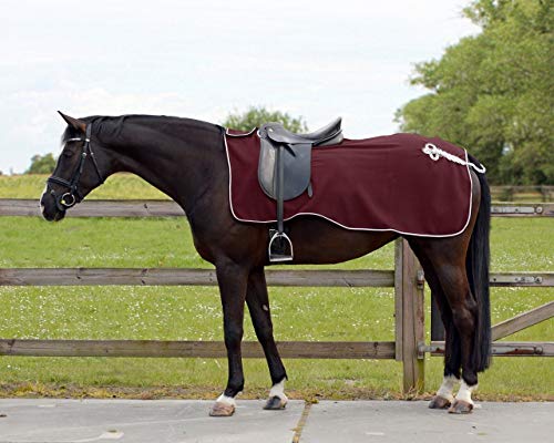 QHP Nierendecke Fleece-Ausreitdecke Ornament Fleecedecke Sattelausschnitt hinten mit Ornament in Silber ((L, Bordeaux) von QHP