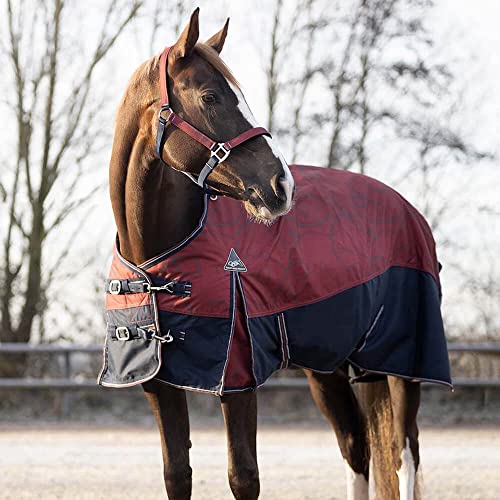 QHP Collection Turnoutdecke 150g, Farbe:Saddlery, Größe:130 cm / 5'7 von QHP