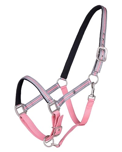 QHP Halfter Flore Streifendesign weiche Polsterung (Vollblut, Flamingo pink) von QHP