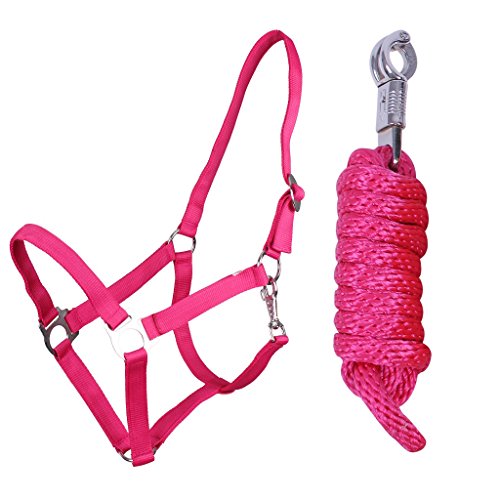 QHP Halfter-Set Beginner II Halfter + Führstrick mit Panikhaken verstellbar (Shetty, Fuchsia) von QHP