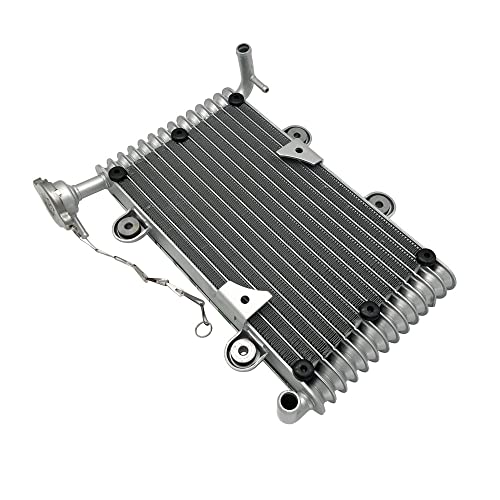 QHZOZMD Ersatzteile Kühler Für Bashan 200CC 250CC BS200 BS200S-7 UTV ATV Quad von QHZOZMD