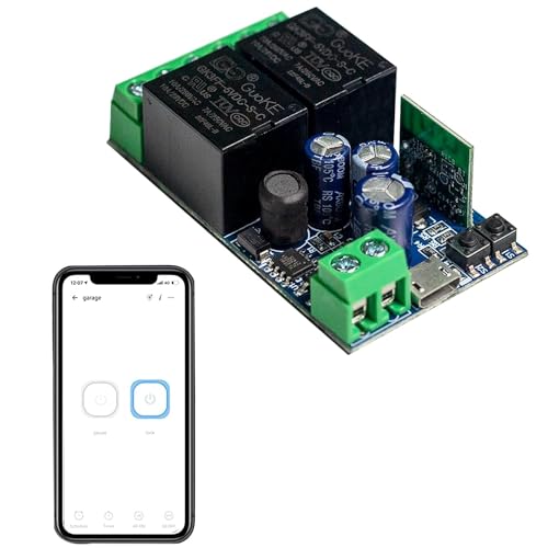 QIACHIP 2 Kanal WIFI Intelligenter Schalter Ewelink APP Smart WiFi Relais Schaltmodul Momentaner Controller, DIY Fernbedienung Garagentor, kompatibel mit Amazon Alexa Echo, Google Home von QIACHIP