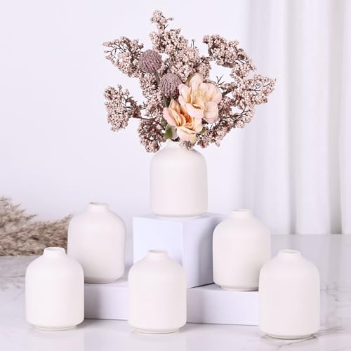 6er-Pack kleine weiße Vasen, Moderne Boho-Vasen für Trockenblumen, kleine weiße Vasen zur Dekoration, weiße Massenvasen für Tafelaufsätze, Hochzeit, Zuhause, Tisch, Party-Dekoration von QIANLING