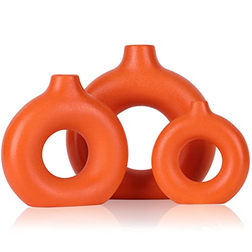 Keramikvase 3er-Set – Runde Boho-Orange-Vasen Set für Pampasgras und Blumendekor, minimalistische matte orangefarbene Vasen für Wohnzimmer, Schlafzimmer, Kamin, Bauernhaus und Tafelaufsätze von QIANLING