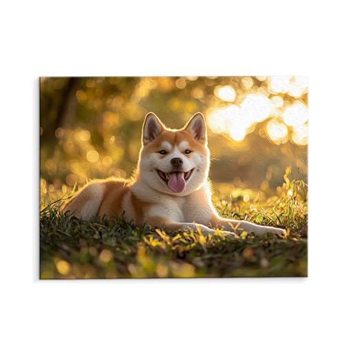 Malen Nach Zahlen Erwachsene Kirky Hund, Malen Nach Zahlen Kits mit Pinseln und Acrylfarben, DIY Ölgemälde Set Malen Basteln Leinwand Anfänger, Als Geschenk für Wanddeko, 60 x 80 cm (ungerahmt) y-523 von QIANLUOO
