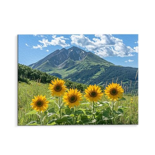 Malen Nach Zahlen Erwachsene Paint by Numbers Adults DIY Ölgemälde Leinwand Set mit 3 Pinsel und Acrylfarben für Home Weihnachten Deko Geburtstag Geschenk - 35 x 50 cm Ohne Rahmen (Blumenfeld) t-445 von QIANLUOO