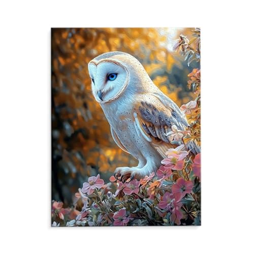 Malen Nach Zahlen Erwachsene Paint by Numbers Adults DIY Ölgemälde Leinwand Set mit 3 Pinsel und Acrylfarben für Home Weihnachten Deko Geburtstag Geschenk - 40 x 50 cm Ohne Rahmen (Eule) t-625 von QIANLUOO
