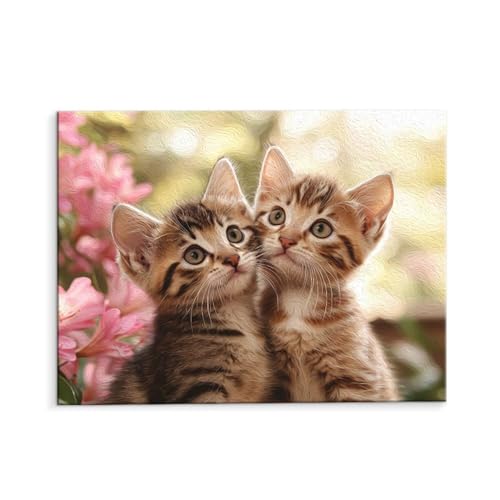 Malen Nach Zahlen Erwachsene Paint by Numbers Adults DIY Ölgemälde Leinwand Set mit 3 Pinsel und Acrylfarben für Home Weihnachten Deko Geschenk - 40 x 50 cm Ohne Rahmen (Niedliche Katze) t-537 von QIANLUOO