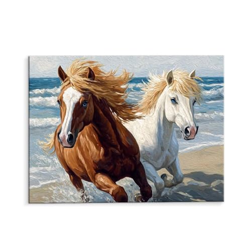 Malen Nach Zahlen Erwachsene Pferde Am Meer, Malen Nach Zahlen Kits mit Pinseln und Acrylfarben, DIY Ölgemälde Set Malen Basteln Leinwand Anfänger, für Wohnzimmer Wanddeko 70 x 90 cm (ungerahmt) y-611 von QIANLUOO