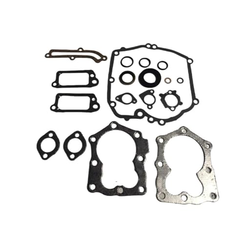 QIBBEI Für Briggs Für Stratton 590508 Motor Dichtung Set Ersetzt 794307 497316 Motorrad Teile Motor Dichtung Set Dichtungssatz von QIBBEI
