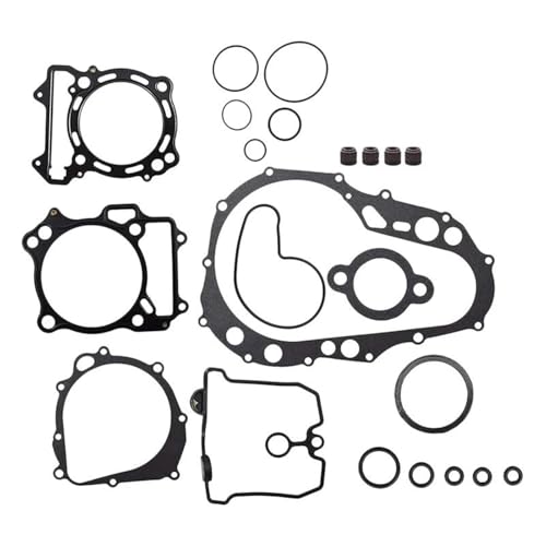 QIBBEI Motorrad Motor Dichtung Öl Dichtung Kit Motor Dicht Ring Für Arctic Für CAT Für DVX 400 2004-2008 Dichtungssatz von QIBBEI