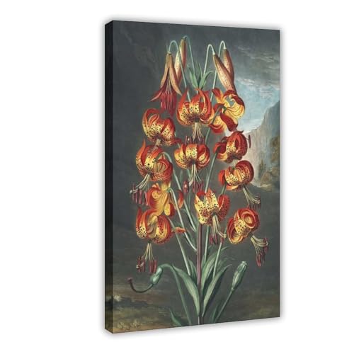 QIENAZIO Leinwand-Poster und Drucke, Motiv: Vintage Plants Robert John Thornton1, ästhetische Raumdekoration, 60 x 90 cm QIENAZIO Leinwand-Poster und Drucke, Motiv: Vintage Plants Robert John Thornton1, ästhetische Raumdekoration, 60 x 90 cm von QIENAZIO