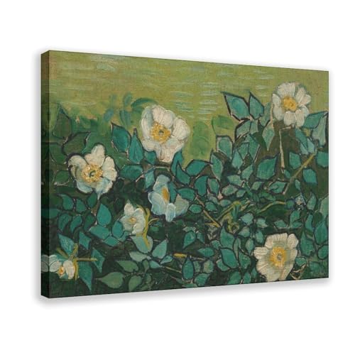 QIENAZIO Vincent Van Gogh – Wildrose, Leinwand-Kunst, Poster und Drucke, ästhetische Raumdekoration, Schlafzimmer, Büro, 50 x 75 cm QIENAZIO Vincent Van Gogh – Wildrose, Leinwand-Kunst, Poster und Drucke, ästhetische Raumdekoration, Schlafzimmer, Büro, 50 x 75 cm von QIENAZIO