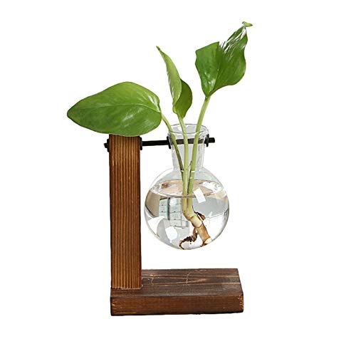 QIEZI Desktop Planter Bulb Vase, Glaspflanzenterrarium mit Retro-Massivholzständer und Metallschwenkhalter, durchsichtiger Scindapsus-Halter für Hydroponics Plants Table Home Garden Decor von QIEZI